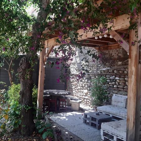 Charmante Maison De Ville Avec Jardin Περπινιάν Εξωτερικό φωτογραφία