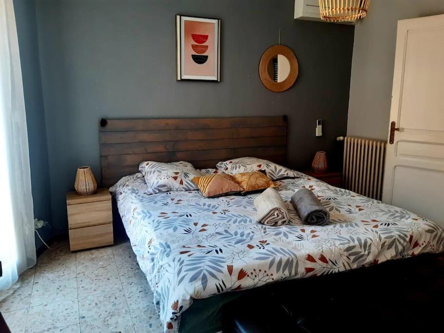 Charmante Maison De Ville Avec Jardin Περπινιάν Εξωτερικό φωτογραφία