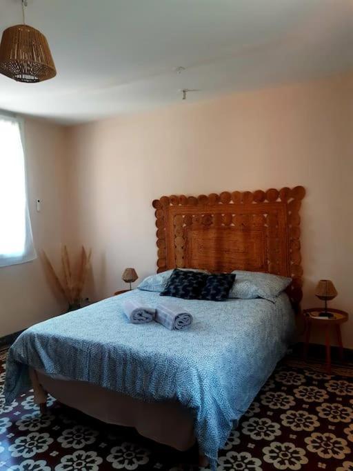Charmante Maison De Ville Avec Jardin Περπινιάν Εξωτερικό φωτογραφία